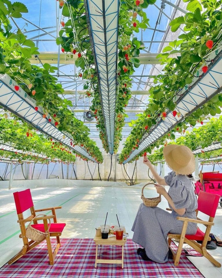 31e76832-ac1f-4a75-9d21-ed27306da24f