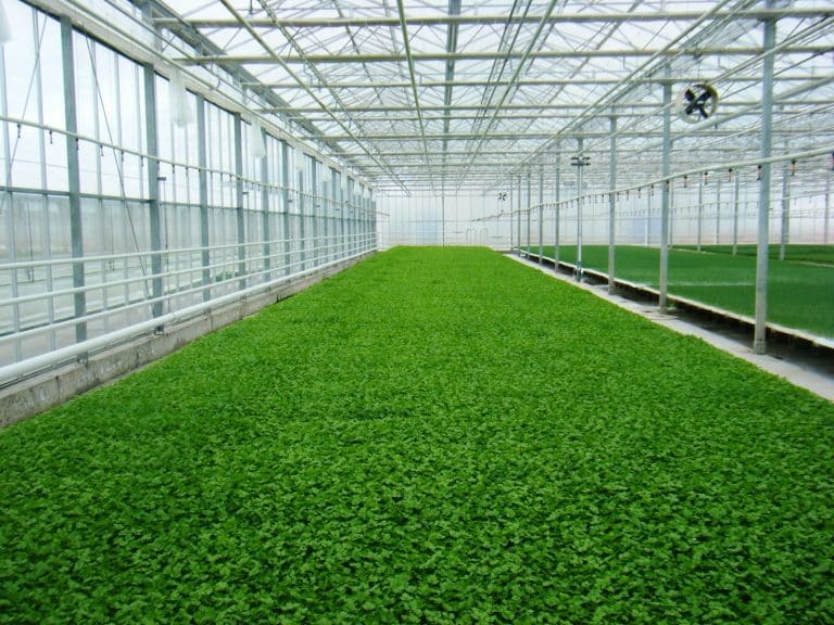 70bebdcf-addc-4b3c-bffa-116b24c7b8f1