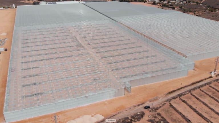 89253277-44ac-4441-89fb-21a048bfa03e