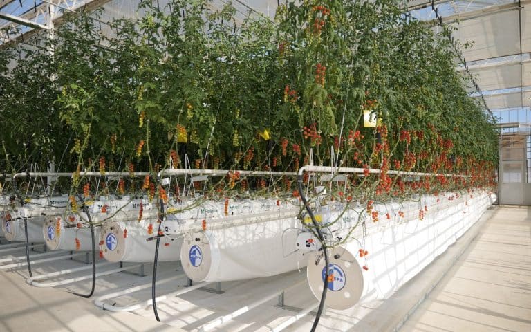 951c0d25-3a8c-49d1-b5f2-c727bde51cb1