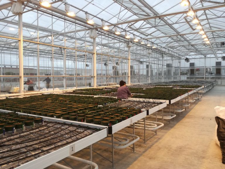 caed4490-7117-442e-bbc1-6b926b10971b