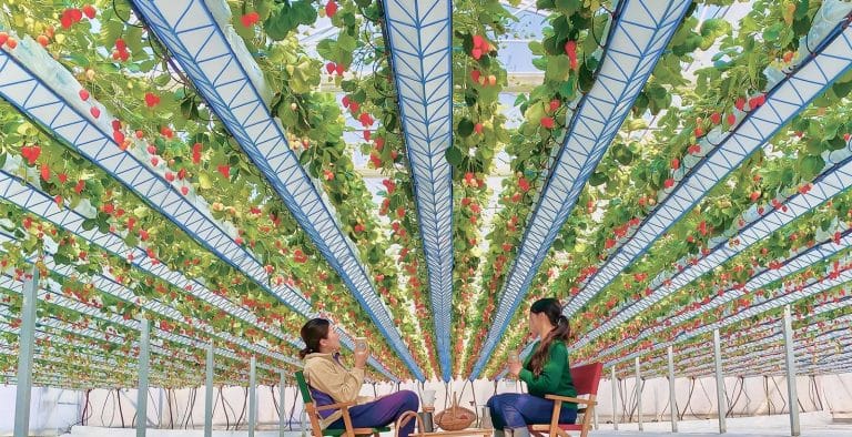 ddd99ca5-fd90-4217-9e37-4ebd5fb1426f